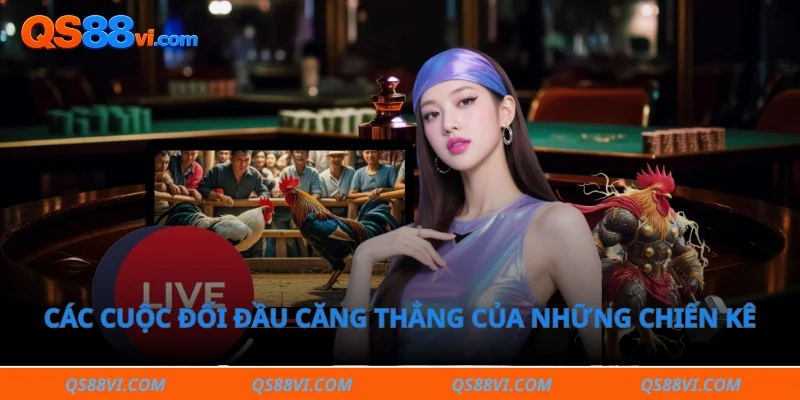 Các cuộc đối đầu căng thẳng của những chiến kê giàu sức bền 
