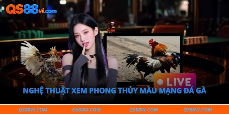Nghệ thuật xem phong thủy màu mạng đá gà trong dân gian 